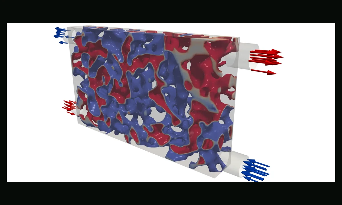 Red and blue branching regions evolving inside a three-dimensional computational design space